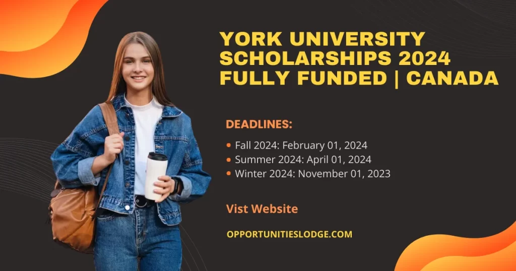 York University Scholarships 2024